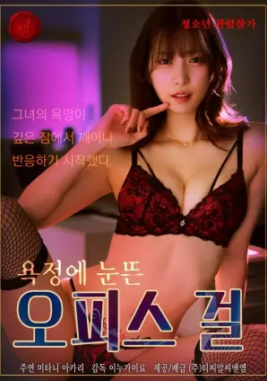 大明王朝1566 海报