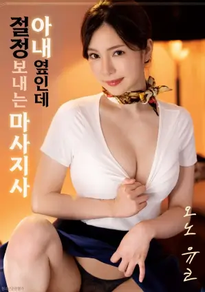 花样年华 经典海报